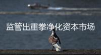 监管出重拳净化资本市场：IPO倒查十年，对违法违规上“硬措施”