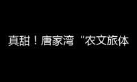 真甜	！唐家湾“农文旅体”融合奏响乡村振兴“荔”