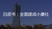 白皮书
：全面建成小康社会以发展促人权增进经济社会文化权利