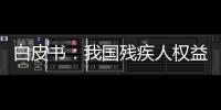 白皮书：我国残疾人权益保障更加有力