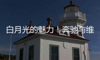 快排公司十年历程，霸屏兔 seo 的崛起与坚守