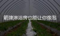 快排公司十年历程，霸屏兔 seo 的崛起与坚守