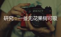 研究：一些无花果树可吸收并“石封”大气中二氧化碳