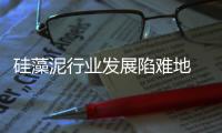 快排公司十年历程，霸屏兔 seo 的崛起与坚守