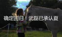 确定回归！武磊已承认夏窗回归上海海港队