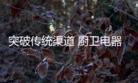 快排公司十年历程，霸屏兔 seo 的崛起与坚守