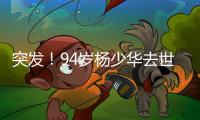 突发！94岁杨少华去世：中午35度高温参加商业活动�，下午突然离世