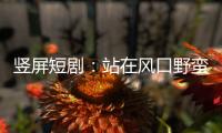 竖屏短剧：站在风口野蛮生长