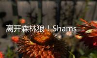 快排公司十年历程，霸屏兔 seo 的崛起与坚守