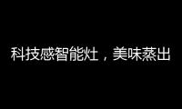 科技感智能灶
，美味蒸出来，健康看得见?
