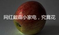 网红戴森小家电，究竟花落谁家？