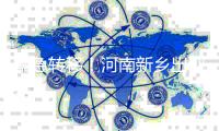 紧急转移！河南新乡出现漫堤险情