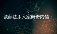 紫藤巷杀人案离奇内情�：四个专案组与警界“内鬼”