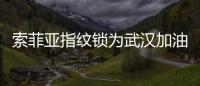 索菲亚指纹锁为武汉加油：樱花樱花，我想守护你
