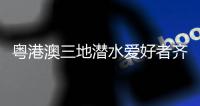 粤港澳三地潜水爱好者齐聚外伶仃岛，共同修复海洋生态