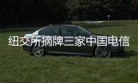 纽交所摘牌三家中国电信企业 外交部	：损害美国国家利益和形象