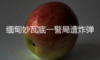 快排公司十年历程，霸屏兔 seo 的崛起与坚守