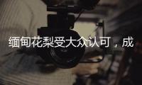 缅甸花梨受大众认可，成为红木界的“新贵”!