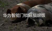 华为智能门锁SE猫眼版21日正式发售
，带你告别“忘带钥匙”焦虑