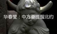 华春莹：中方要提醒北约，北约还欠着中国人民的血债