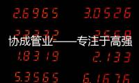 快排公司十年历程，霸屏兔 seo 的崛起与坚守