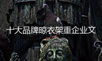 快排公司十年历程，霸屏兔 seo 的崛起与坚守
