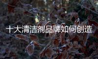 快排公司十年历程，霸屏兔 seo 的崛起与坚守