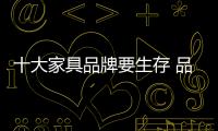 快排公司十年历程，霸屏兔 seo 的崛起与坚守