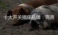 十大开关插座品牌：完善服务 成就行业优质品牌