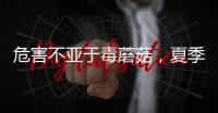 危害不亚于毒蘑菇，夏季吃海鲜小心贝类中毒