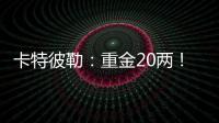 卡特彼勒
：重金20两！拿下！