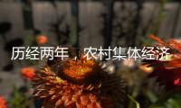 历经两年
，农村集体经济组织法通过丨时政周报