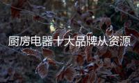 厨房电器十大品牌从资源、渠道、设计三方面谋发展