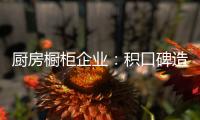 厨房橱柜企业
：积口碑造精品 重营销讲服务