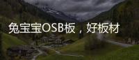 兔宝宝OSB板，好板材芯选择