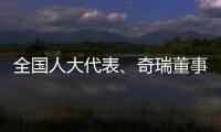 全国人大代表�、奇瑞董事长尹同跃：恶性竞争的“价格战”伤人伤己