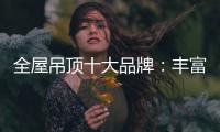 全屋吊顶十大品牌：丰富产品线 发挥自身优势