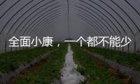 全面小康，一个都不能少