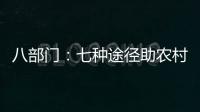 八部门
：七种途径助农村残疾人就业增收
