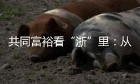 共同富裕看“浙”里
：从脱贫到共富 “浙”里有一份秘笈待领取