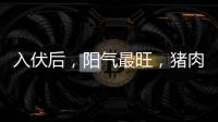 入伏后，阳气最旺，猪肉鱼肉靠边站，多吃8样，清热又解暑