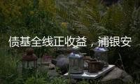 债基全线正收益，浦银安盛和光大保德信垫底丨公募基金损益榜②