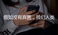假如没有真菌，我们人类还能存活于地球吗
？