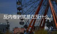 反内卷到底是在反什么

？丨记者手记