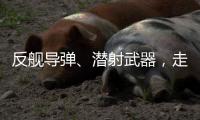 反舰导弹、潜射武器，走近航展里的“海防利器”丨2022航展