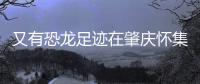 又有恐龙足迹在肇庆怀集被发现！发现者为大三学生