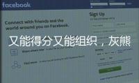 又能得分又能组织，灰熊强力投手会在新赛季扮演更为重要的角色
�？