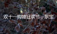 双十一购物狂欢节�，东宝床垫为爱“让利”