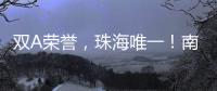 快排公司十年历程，霸屏兔 seo 的崛起与坚守
