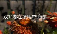 双11都在抢用户!海尔热水器8分钟破亿�，够快!